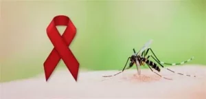 HIV có lây qua muỗi cắn không