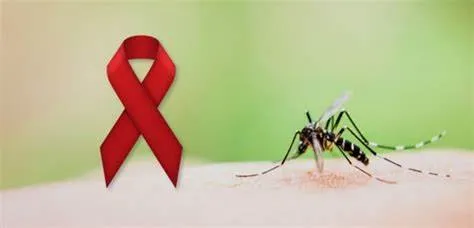 HIV có lây qua muỗi cắn không