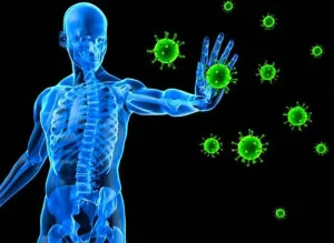 tác động của HIV lên hệ miễn dịch